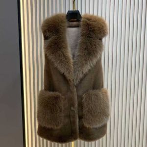Faux Fur Collar & Pocket Vest in Brown DH09