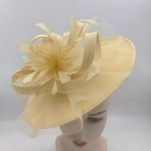 Feather & Netting Detail Fascinator