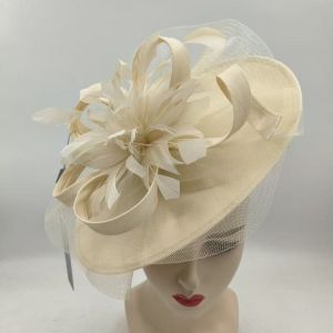 Feather & Netting Detail Fascinator