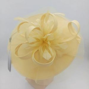 Feather & Netting Detail Fascinator