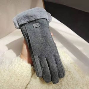 HA288 Fashion gloves in Grey