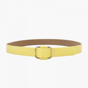 Gold Square Buckle Belt