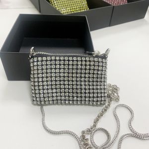 6660 small purse bag in crystal Silver