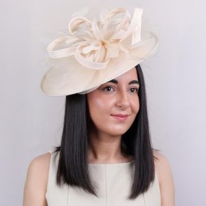 Feather & Netting Detail Fascinator