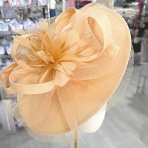Feather & Netting Detail Fascinator